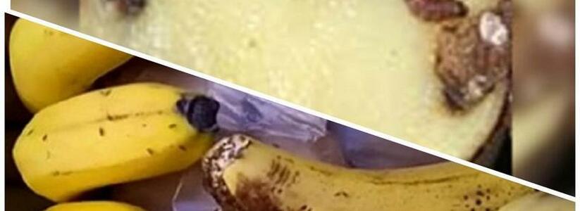 В порту Новороссийска задержали бананы с мухами и картофель с гусеницами