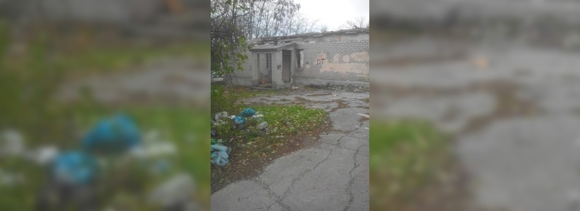 Заброшенная больница в поселке Верхнебаканский превратилась в свалку, туалет и кладбище домашних животных
