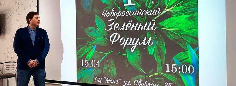 Убрать «дыры» в законе и высаживать многолетние цветы для экономии: специалисты поделились идеями по озеленению Новороссийска