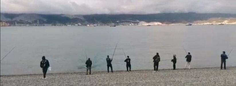 Новороссийцы сняли на видео, как рыбаки ставят сети в Цемесской бухте