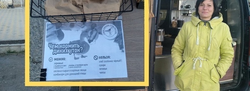 В Новороссийске в кофейне на колесах  бесплатно раздают пакетики с кормом для диких птиц