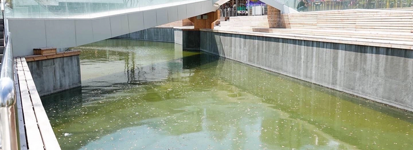 Черепашек и карпов не будет: пруд в новороссийском парке Фрунзе обзаведется фонтанами