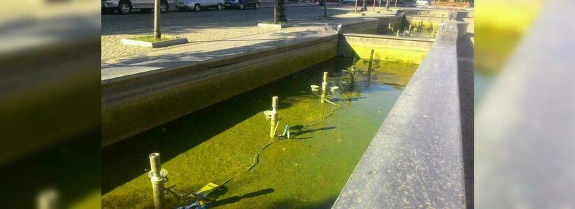 «Здесь скоро заведутся лягушки!»: в центре Новороссийска зацвел фонтан