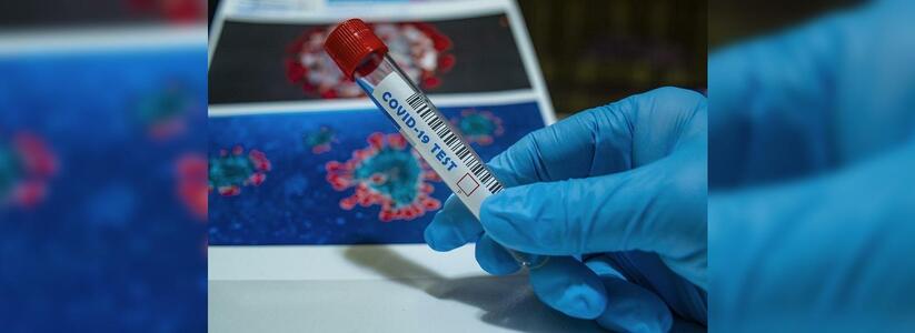 В Новороссийске еще три человека заразились коронавирусом