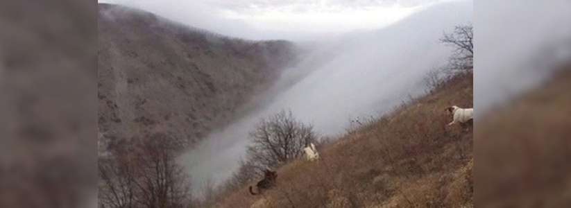 «Прогулялись в «бороде»: житель Новороссийска снял на видео, как выглядят изнутри густые облака, сползающие с гор