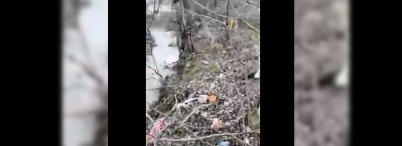 «Разве это нормально?»: новороссийцы сняли на видео, как жители частного дома вывели канализацию в реку Цемес