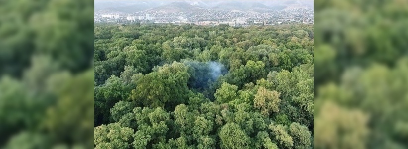 Жителей Новороссийска напугал дым в Цемесской роще