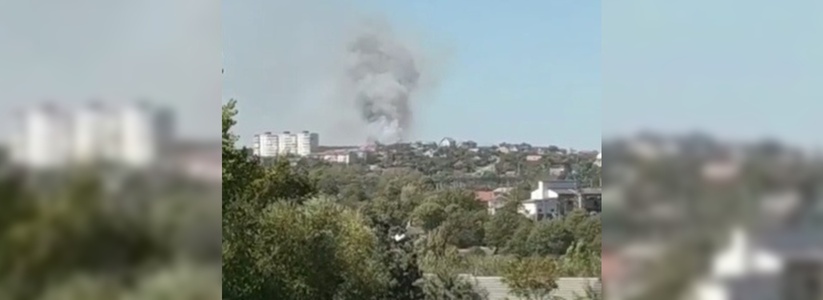 Под Новороссийском вспыхнул природный пожар: очевидцы выложили видео ЧП