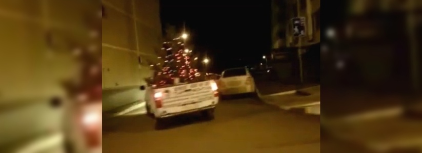 «Дед Мороз за рулем?»: пикап с новогодней елкой разъезжает по улицам Новороссийска