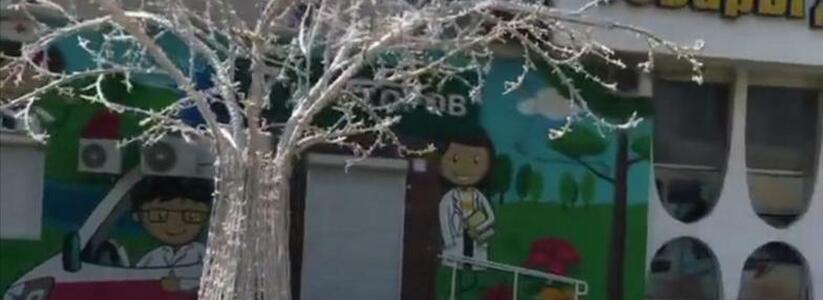 В Южном районе Новороссийска установили пластмассовые деревья