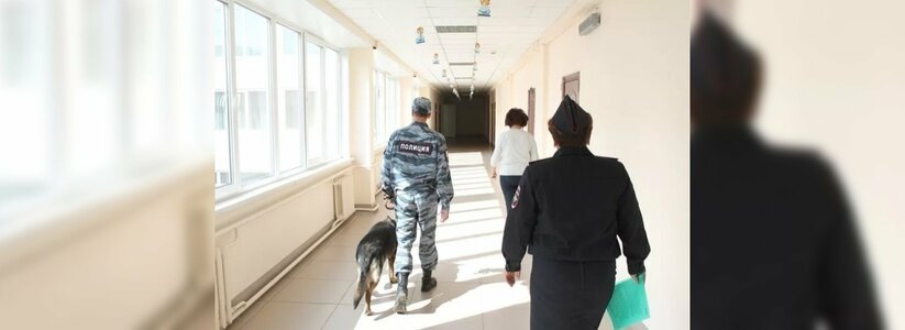 Перед  Днем знаний все школы Новороссийска проверят полицейские с собаками