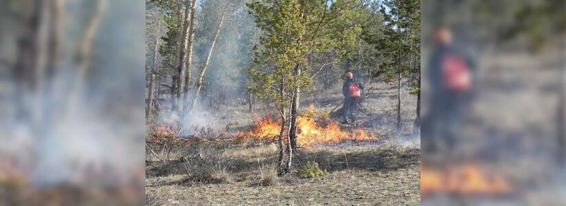 МЧС объявили в Новороссийске чрезвычайную пожароопасность 5 класса