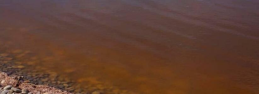 «Вода протухает». Суджукская лагуна в Новороссийске стала коричневой