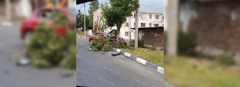 В Новороссийске в результате ДТП «Пежо» обнял дерево по самую крышу