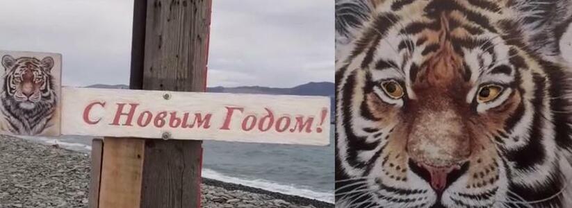 В Новороссийске на мысе Суджук появился ещё один тигр