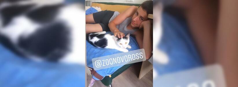 Волонтеры Новороссийска нашли дом кошке, которую жестоко избил живодер