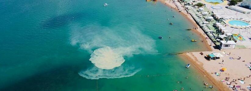 "Отдыхали на пляже, чуть инфаркт не получили!": в море Геленджика образовался мутный гейзер