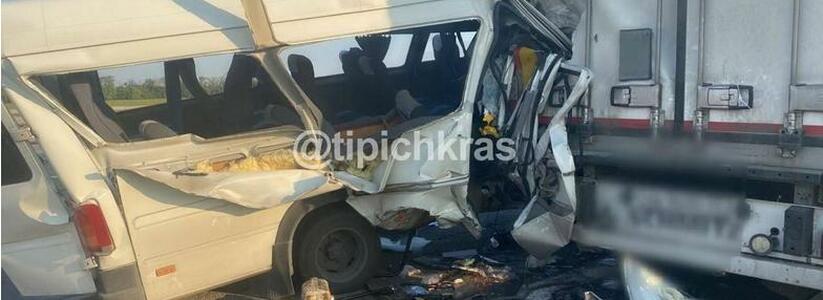 Стали известны подробности смертельной аварии с автобусом, который ехал из Анапы