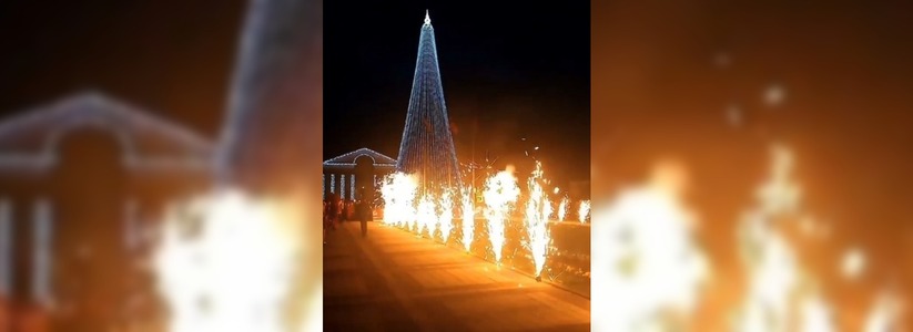 Световые иллюминации и салют: фото и видео горожан с официального открытия главной елки Новороссийска