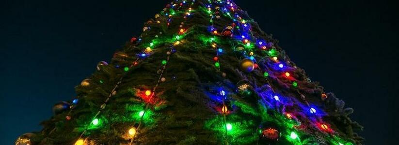 «Праздник к нам приходит!»: в Новороссийске начали устанавливать главную елку