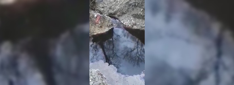 Жители Новороссийска сняли на видео, как из-под земли ключом бьет черная зловонная жидкость и впадает в реку