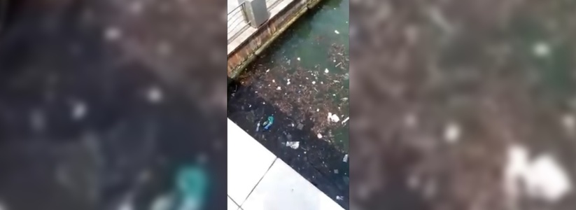 Жители Новороссийска сняли на видео кучи мусора, плавающие в море у берега