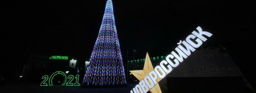 «Светящийся конус!!!»: в Новороссийске у здания администрации зажглась самая большая елка города
