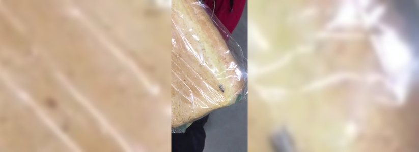 <p>  </p><p>Новороссийцы сняли «хлеб с сюрпризом» на видео.</p>
