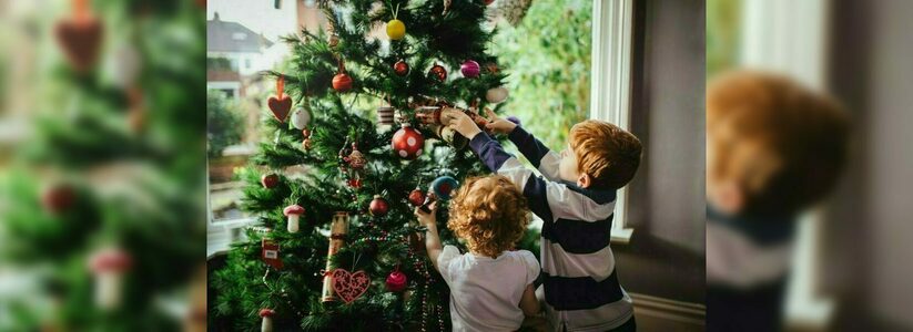 В центре елки дешевле, чем в пригороде. Как новороссийцам сэкономить при покупке новогоднего дерева?
