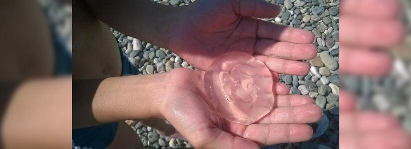Одолели! В окрестностях Новороссийска медузы превратили воду в кисель