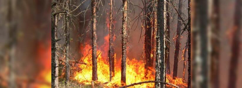 МЧС просят не ходить в лес: в Новороссийске сохраняется высокая вероятность возникновения пожаров