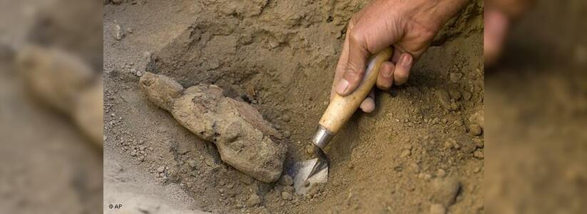 Древнейшая находка: археологи на Кубани обнаружили амфору полную нефти