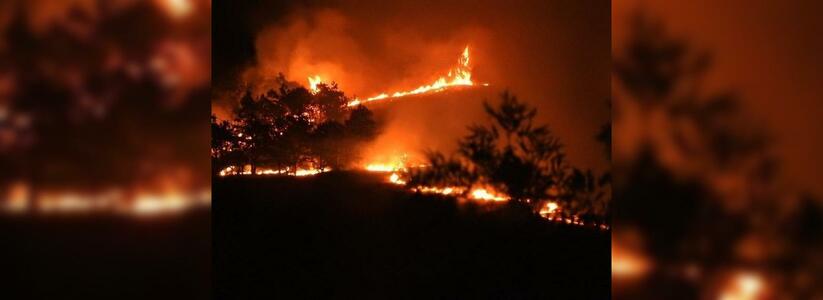 В Новороссийске cгорело 3,5 га леса: зарево пожара видела половина города