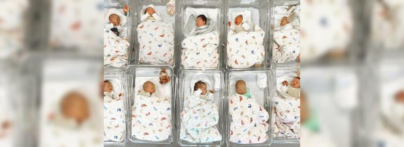 Маленьких новороссийцев становится больше: за 2015 год родилось три тысячи малышей