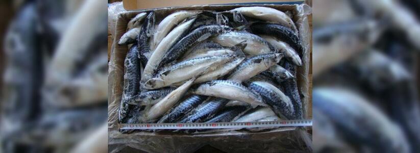 В порт Новороссийска не пропустили 48 тонн тухлой рыбы для Украины