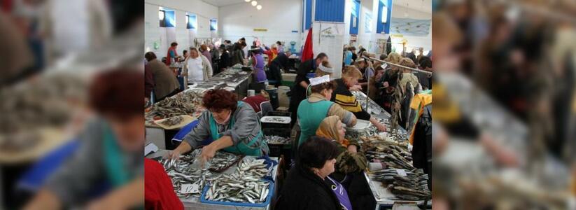 В Новороссийске начали продавать хамсу: как отличить свежую рыбу от прошлогодней?