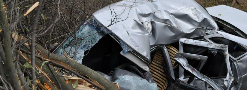 Смертельное ДТП на трассе Новороссийск-Краснодар: машина врезалась в дерево