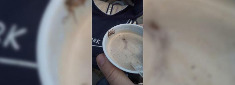 В Новороссийске горожанка в кофе из автомата обнаружила таракана