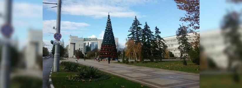 В Новороссийске украсили главную елку города