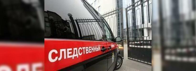 По факту убийства школьницы в Новороссийске СК возбудил уголовное дело по двум статьям