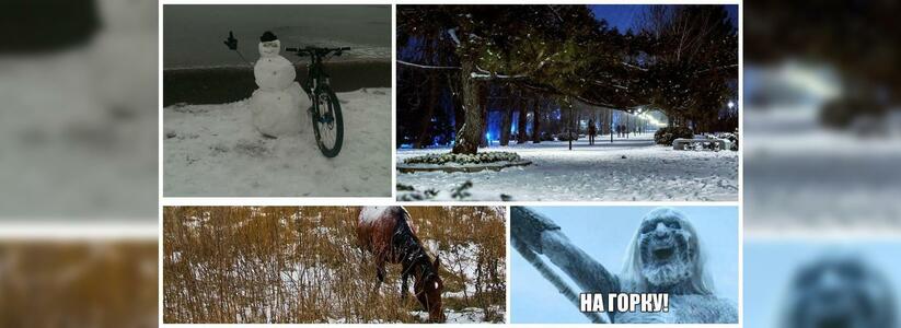 Лошади в снегу, снеговики на велосипедах и мемы про горки: новороссийцы радуются зиме