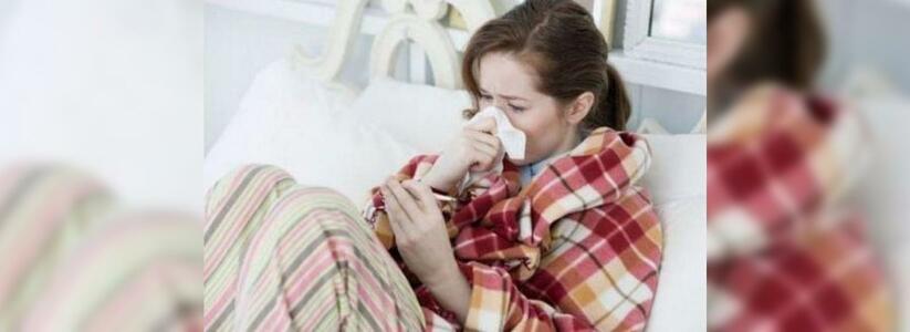 Жителей Новороссийска напугала аудиозапись, сообщающая о 39 летальных исходах от вируса свиного гриппа