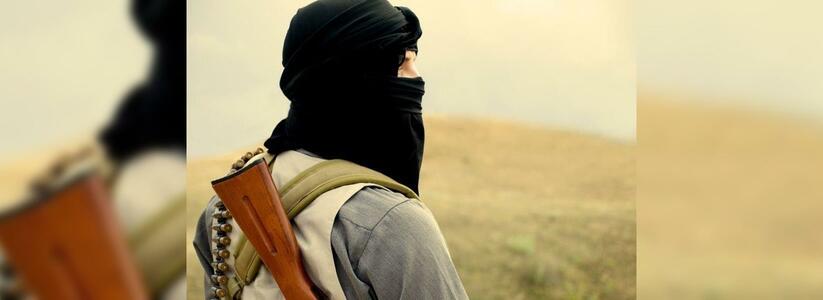 Внимание, розыск! В Краснодарском крае ищут вербовщиков в ИГИЛ