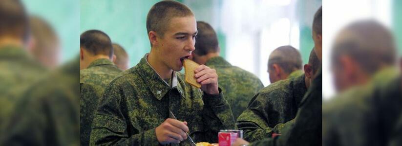 Солдаты юга России будут бороться с простудой салом, луком и чесноком