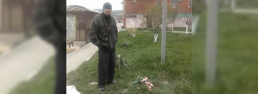 Романтичный вор: в Новороссийске задержали похитителя сотни тюльпанов с клумбы