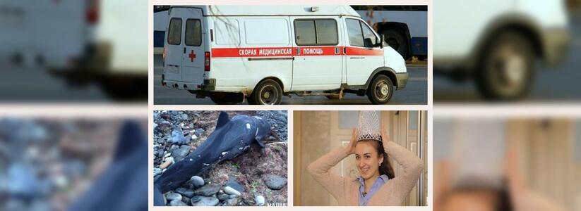 Новороссийск за день 27 апреля: жертвы аварии, сирены в городе и новая жизнь после шоу «Барышня-крестянка»