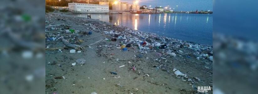 Жители Восточного района Новороссийска бьют тревогу: территория одного из пляжей покрыта мусором и трупами дельфинов