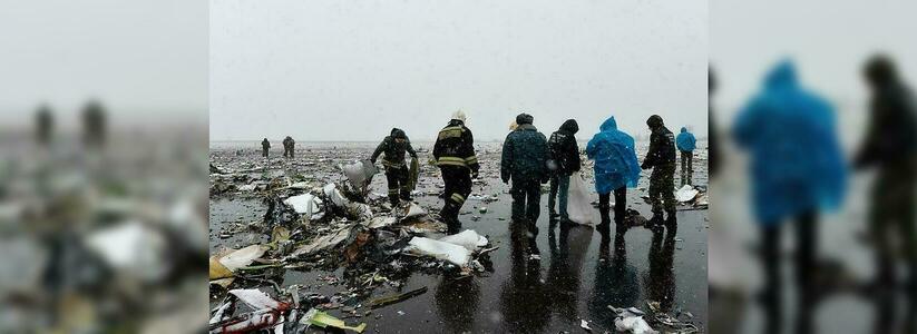 В кабине раздавались крики: стали известны причины крушения самолета в Ростове-на-Дону