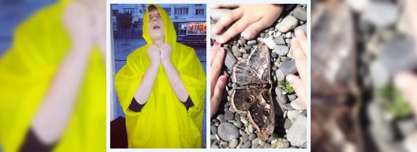 Лето на диване и спасенная бабочка - что постили жители Новороссийска в Instagram