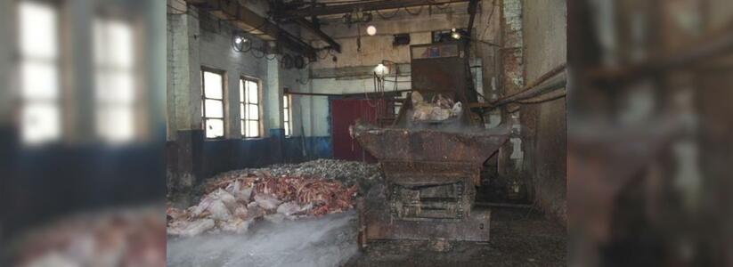 На Кубани уничтожили 790 килограммов мяса: товар пересыпали хлорной известью